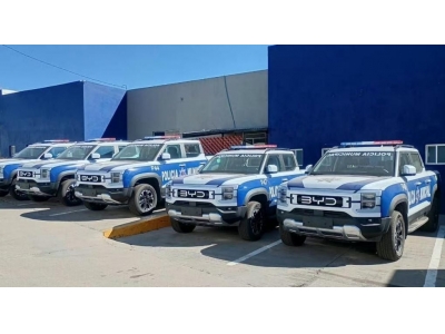 比亚迪在国外也有编制了